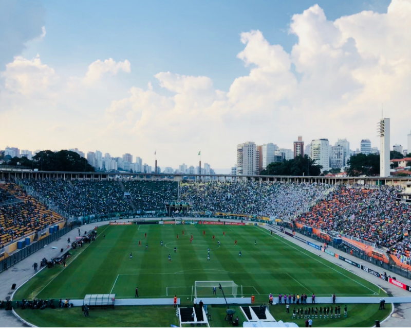 Alerta: vazam dados de milhares de sócio-torcedores do Palmeiras