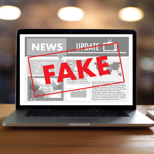 Getting Wise to Fake News — Perallis Security